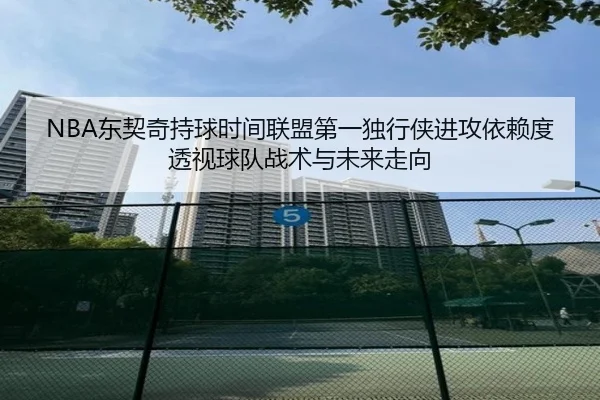 NBA东契奇持球时间联盟第一独行侠进攻依赖度透视球队战术与未来走向